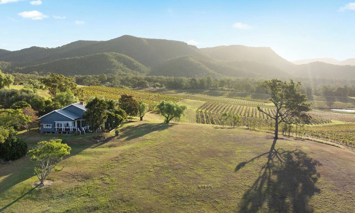 Pokolbin House | Audrey Wilkinson Vineyard - Pokolbin