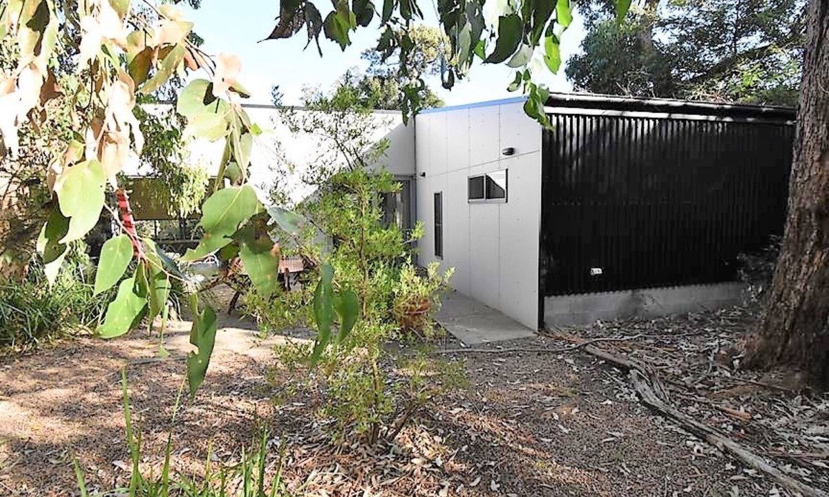 Waratah House | Banksias at Waratah Bay