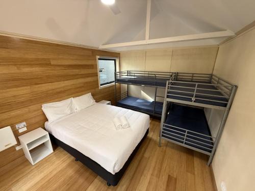 Cape Otway Resort | Bimbi Park - Camping Under Koalas