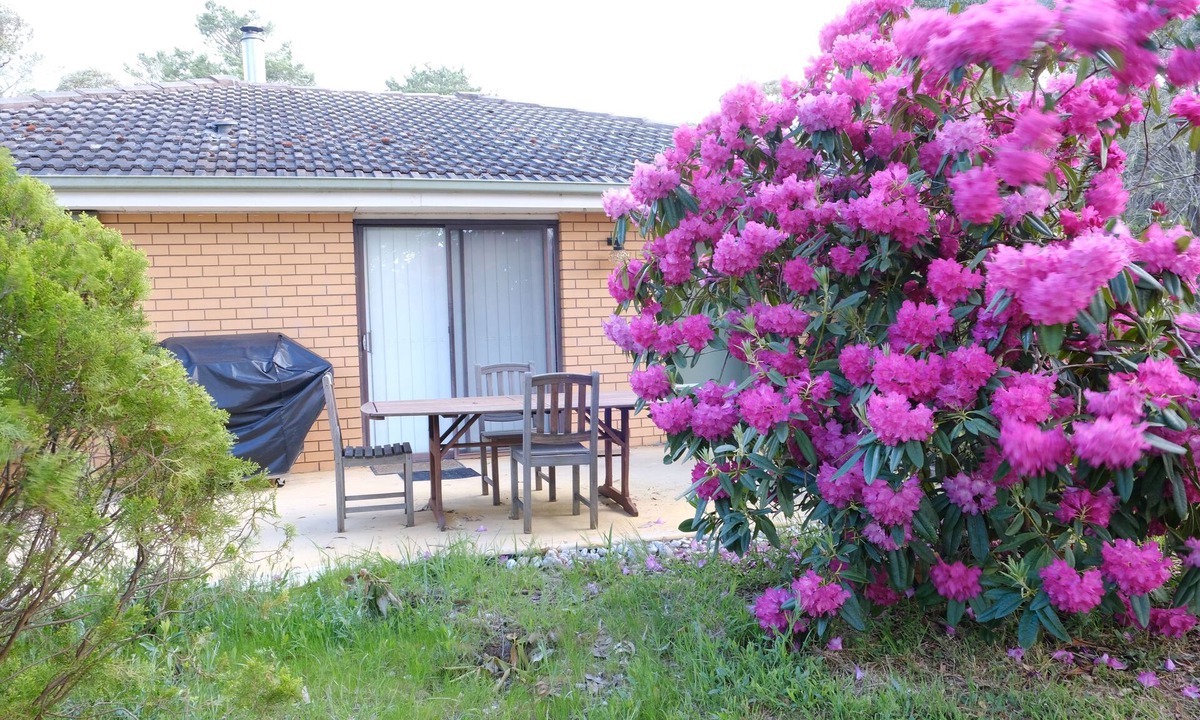 Hepburn House | Comfortable and fresh for relaxing in the green serenity.