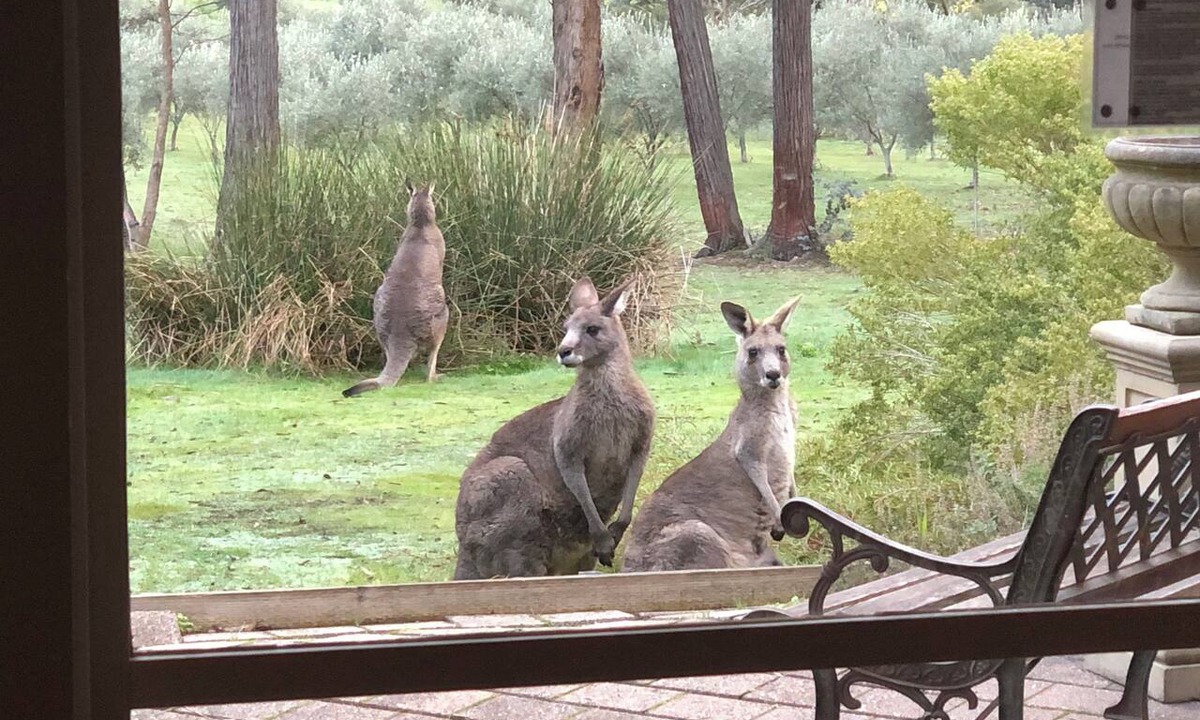 Hepburn Cottage | CountrysideRetreat Romance Luxury Cottage NativeWildlife Daylesford – Hepburn