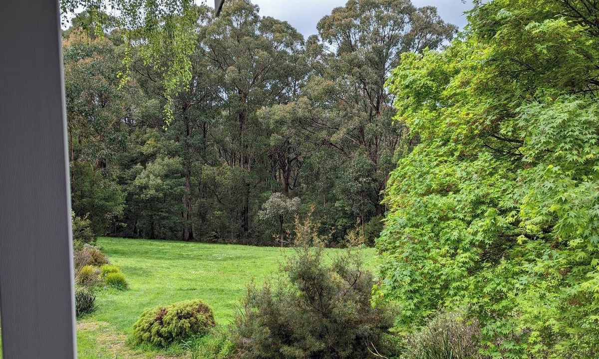 Forrest Cottage | Cute 2-bedroom cottage, opposite the MTB trailhead inForrest