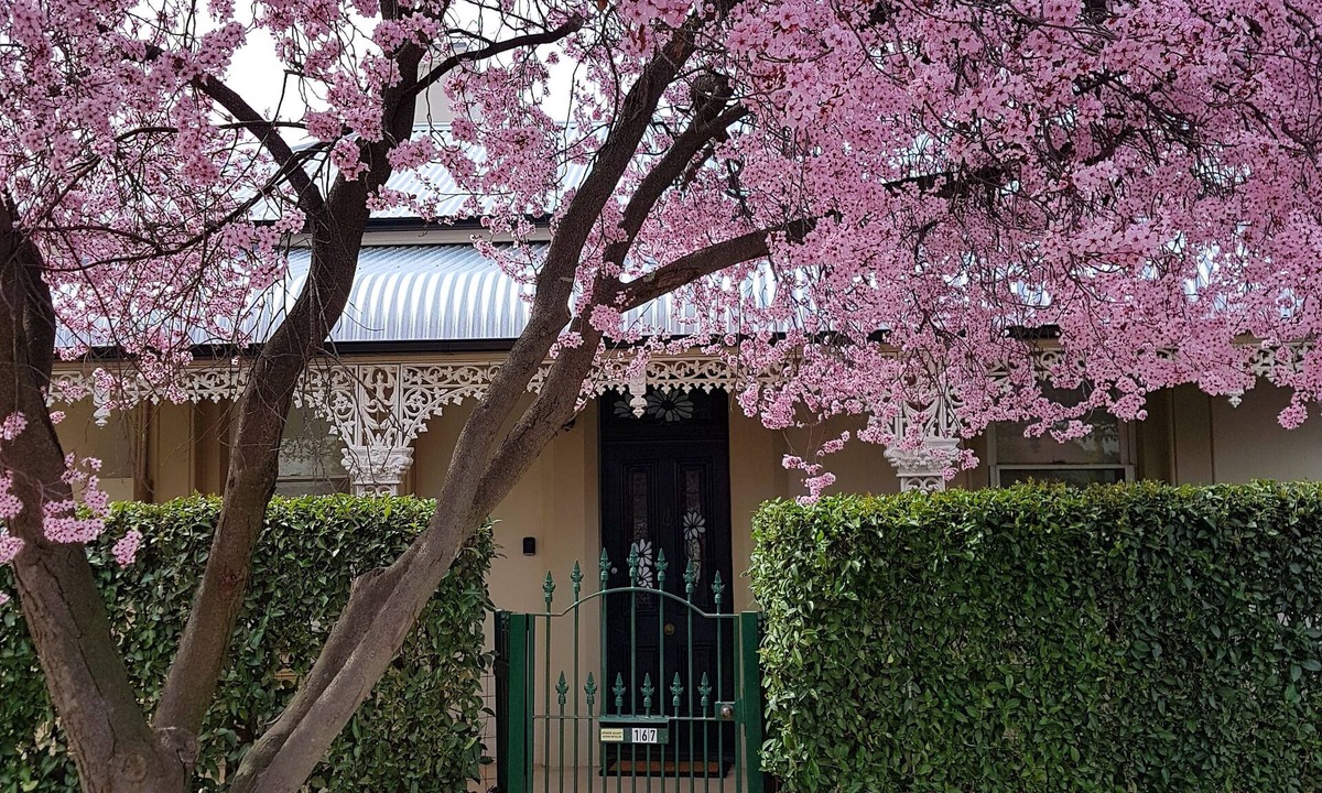 Bathurst Cottage | Daisy Cottage - Excellent location close to CBD
