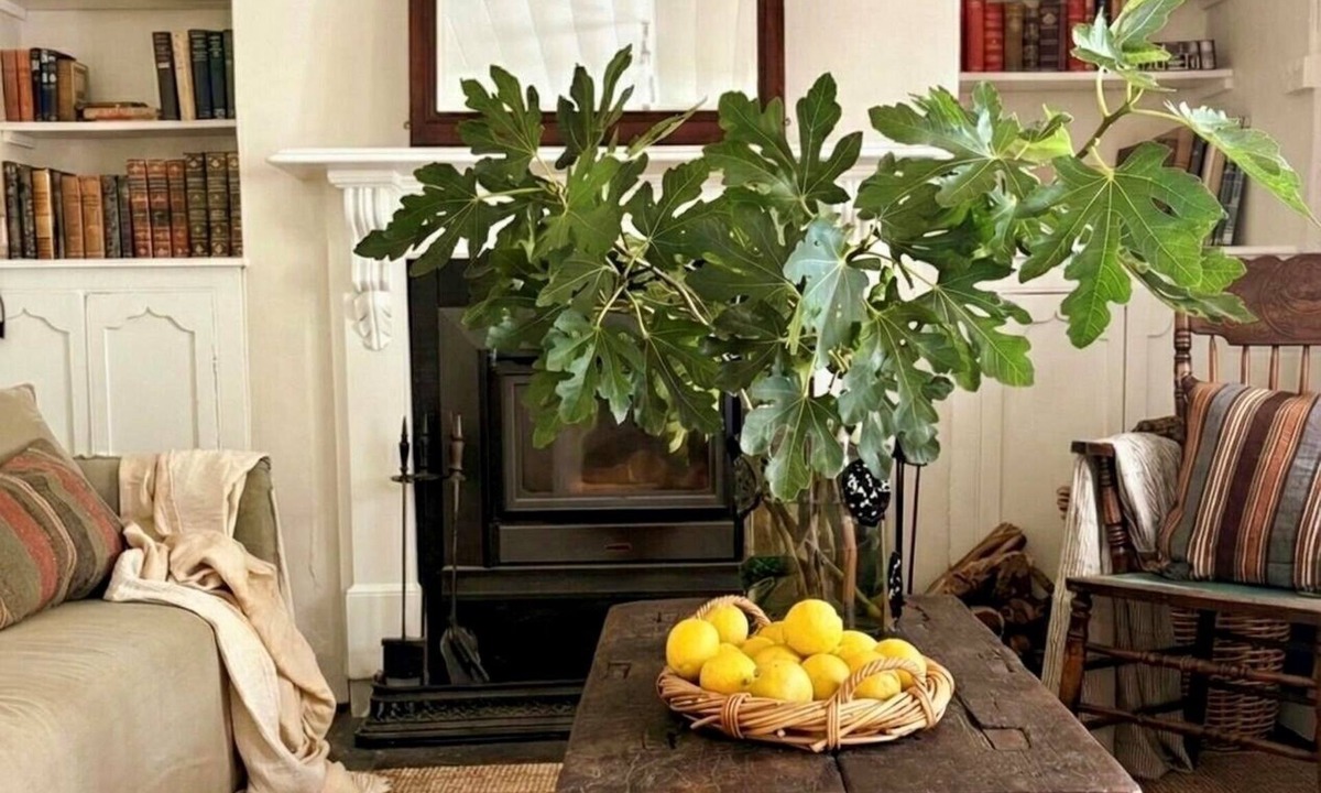 Burra Cottage | Dove Cottage Burra