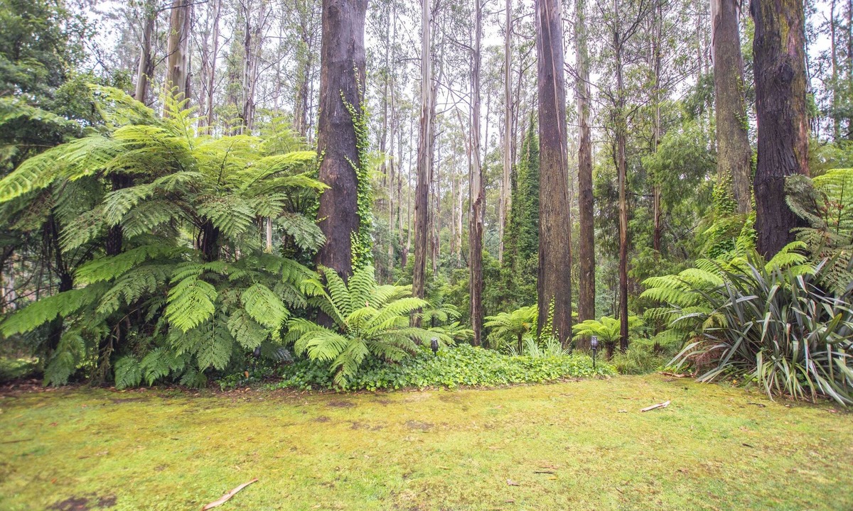 Mount Dandenong House | Grand Lodge@FernglenForestRetreat