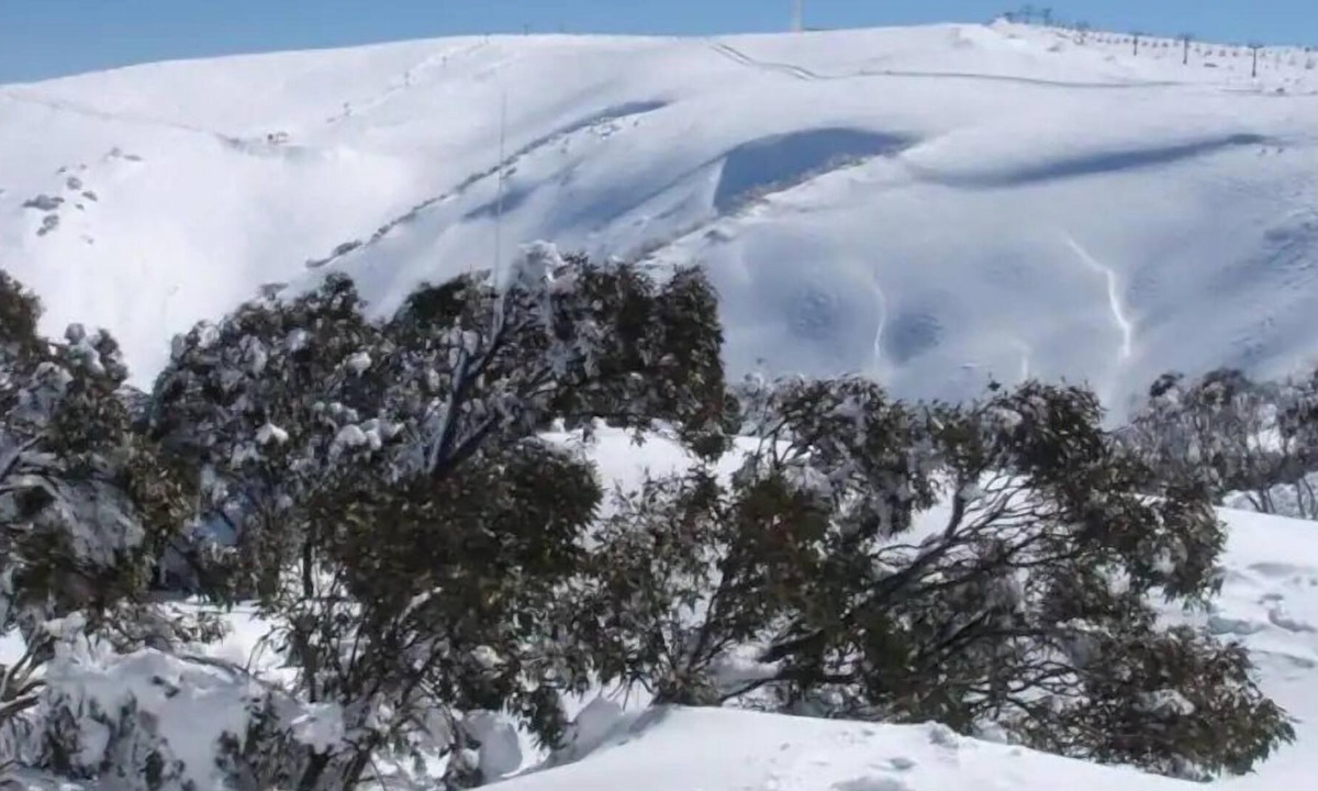 Hotham Heights Ski Chalet | IceBreaker - Hotham Heights
