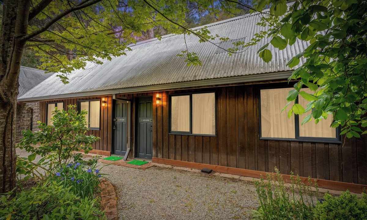 Emerald Cabin | Little Acorn - Sun-Kissed Forest Garden, Emerald