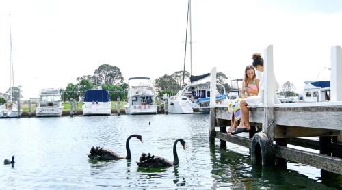 Paynesville Resort | Mariners Cove Waterfront Motel and Apartments