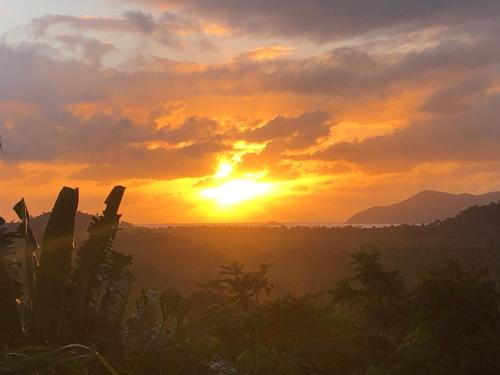 Carmoo Bed & Breakfast | Mission Beach Escape BnB