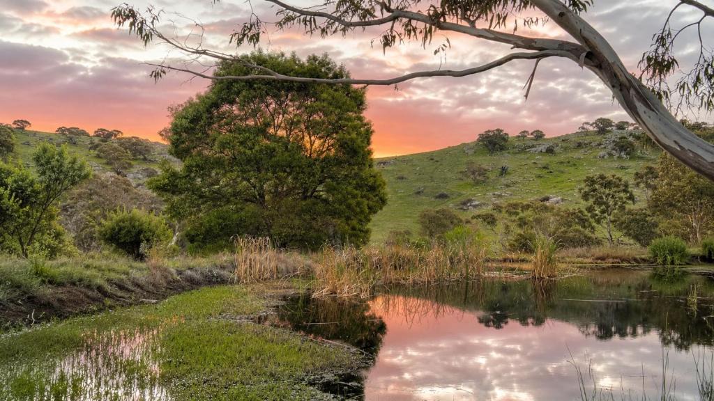 Harcourt North House | Moonrise Hill