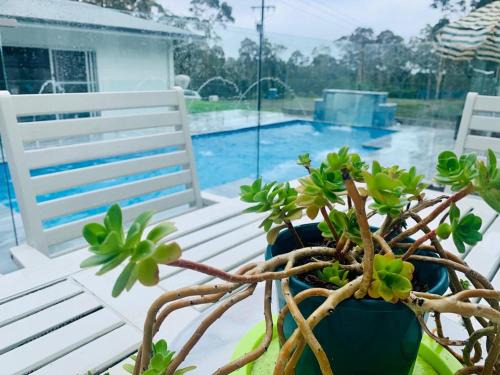 South Coast Bed & Breakfast | Mountain Valley