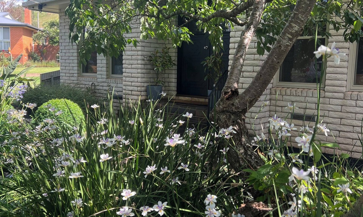 Camperdown House | MOUNTVIEW residence is a gorgeous renovated house at the bottom of Mount Leura.