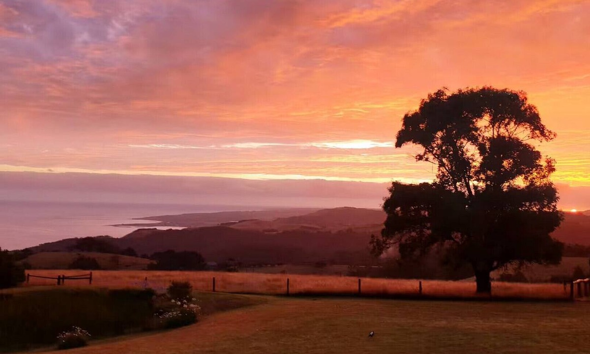 Skenes Creek North House | Ocean View Hilltop Retreat - Skenes Creek