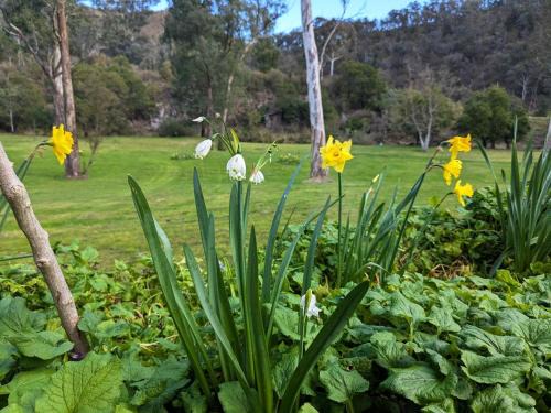 Dargo House | Parsons Flat River Barn