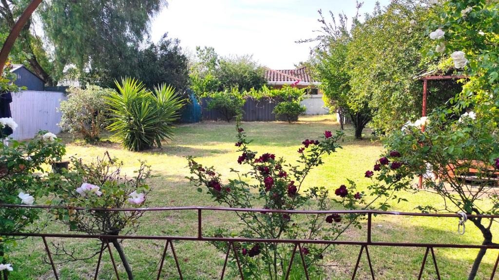 Broadview Bed & Breakfast | Peaceful House for Relaxation
