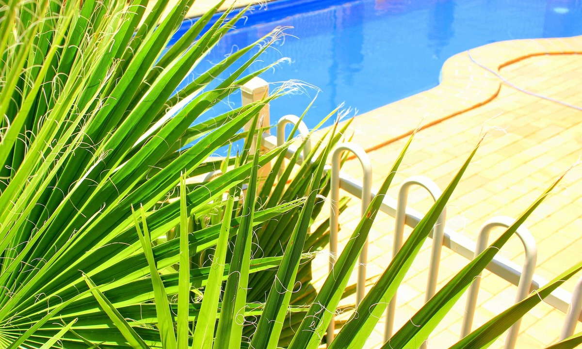 Roma Hotel | Roma Mid Town Motor Inn