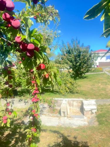 Glenorchy House | Rose Homey Home