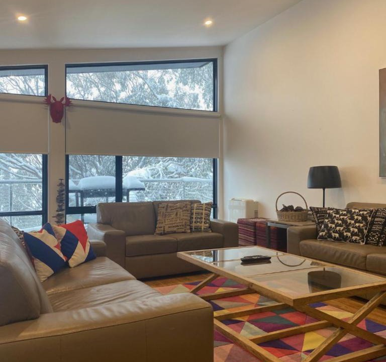 Falls Creek Apartment | Sastrugi