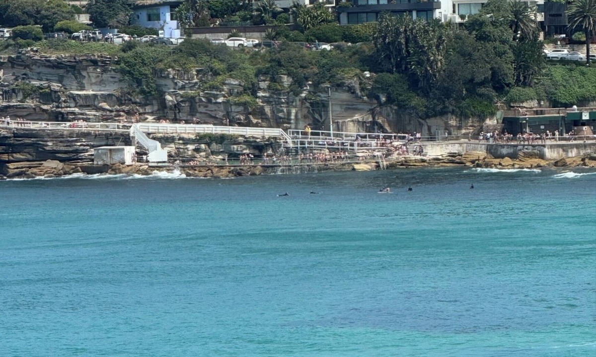 Tamarama House | Tamarama beach house with magnificent views and parking for three cars
