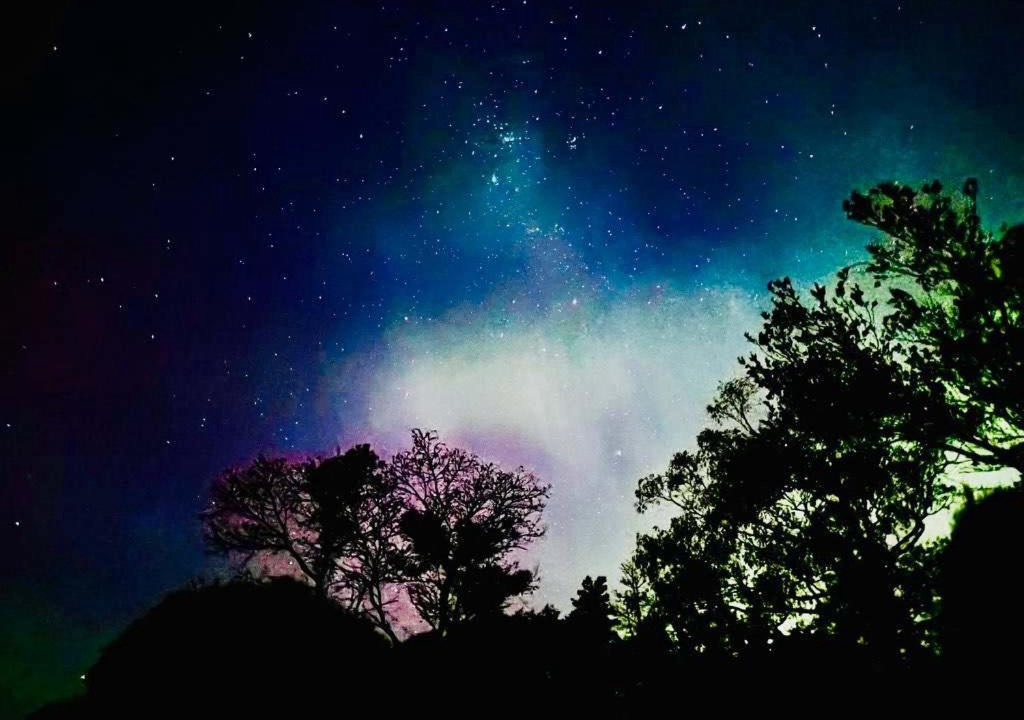 Tea Tree House | The Aurora House - BBQ Firepit Stargazing