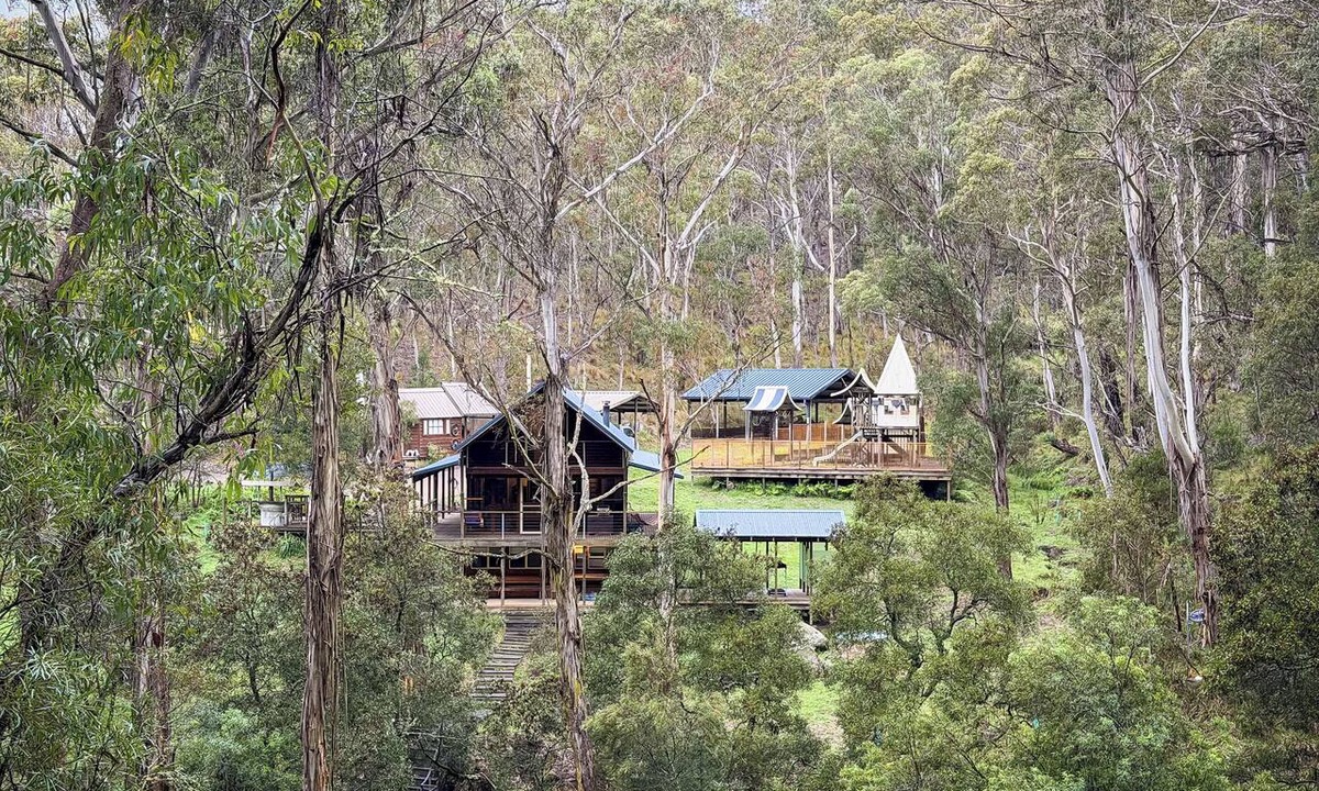 Harolds Cross House | Wildernest Eco Luxury Tree house by the creek w/sauna,outdoor shower and more!