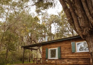 Gum Grove Chalets - wandoo in Denmark