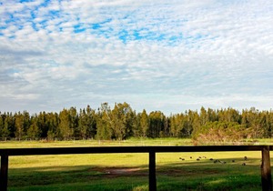 Sahara Trails 3 Bedroom House - Coastal farmhouse escape, with horse riding at your door!