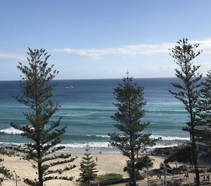 Burleigh 