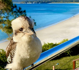 Walters Holiday Flats Hyams Beach 