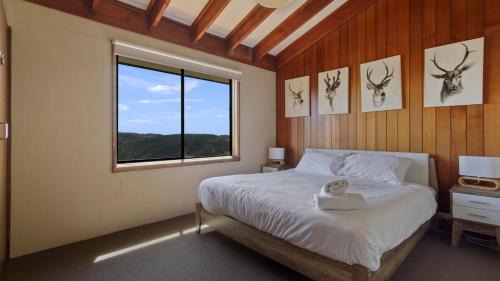 Hotham Heights House | 1750 Hotham 12