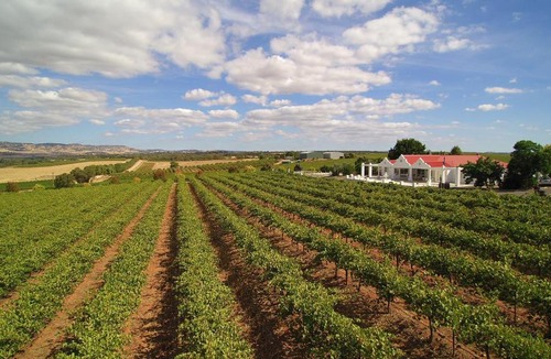 Lyndoch House | 1837 Barossa Luxury Vineyard Cottages