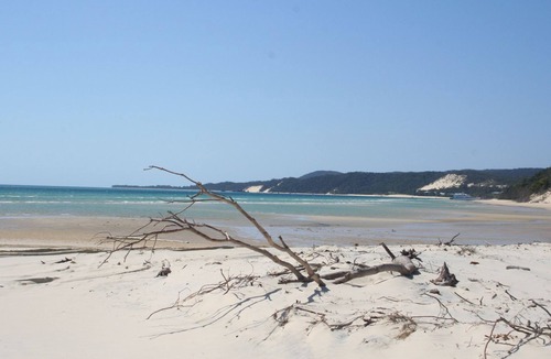Brisbane Waterfront Apartment | 3 Bed room Relaxing Island getaway