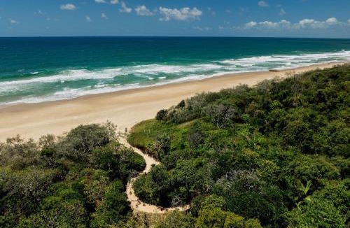 Wurtulla House | Absolute Beach Front Home -Dogs, Surf, Relax, Bush