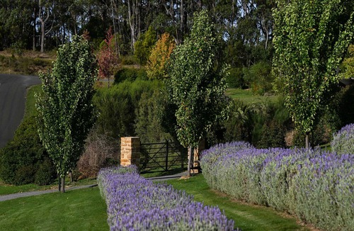 Summertown Cottage | Adelaide Hills luxury cottage with sauna and heated pool, 20 mins from Adelaide