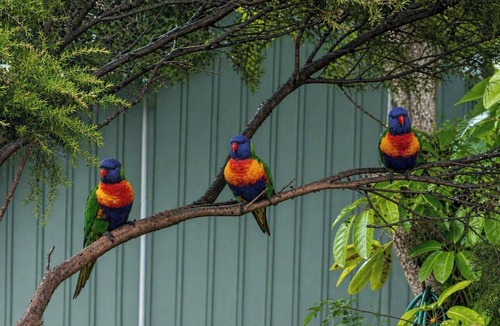 Batemans Bay Hostel | Batemans Bay Holiday Park - Hostel