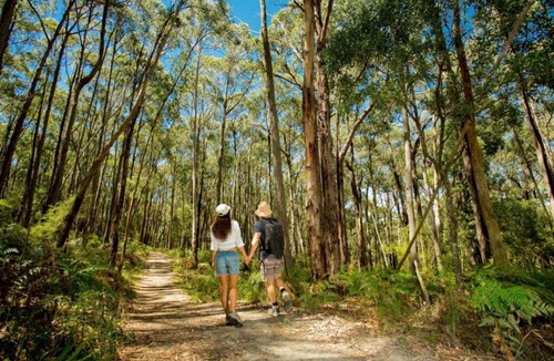 Badger Creek Other | BIG4 Yarra Valley Park Lane Holiday Park