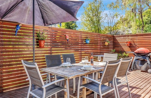 Hyams Beach House | Black Wattle at Hyams Beach