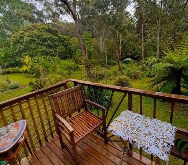 Hazelbrook Apartment | Blue Mountains Ferncreek Studio Retreat, pet friendly, birds and bush