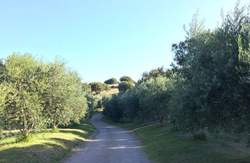 Fingal House | Devonlea Olive Grove 4br Home with pool on 8acres- next door to The Cups Estate
