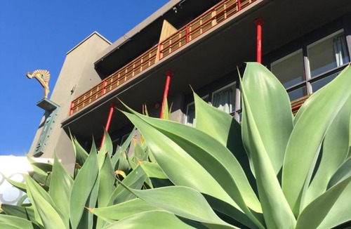 Coogee Hotel | Dive Hotel