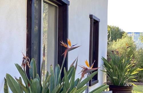 Dunsborough House | EcoLuxe Dunsborough - Gorgeous Central Cottage - with private courtyard.