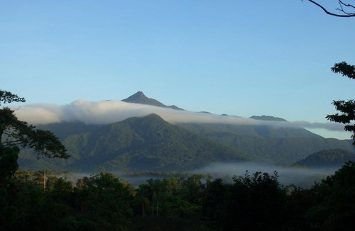 Cow Bay Bed & Breakfast | Epiphyte B & B