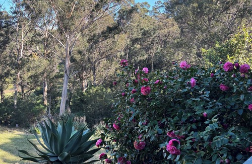 Merimbula House | Family friendly haven in the heart of the Sapphire Coast