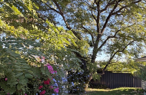 Melville House | Family oasis with sunset deck in prime Melville location