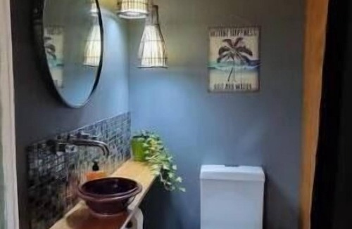 Repton Cabin | Funky Cabin in the Rainforest
