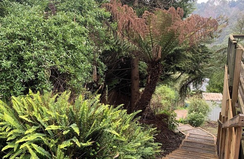 Belgrave Apartment | Hill Billy is a Studio space in Fragrant Belgrave. A Walk to the Puffing Billy