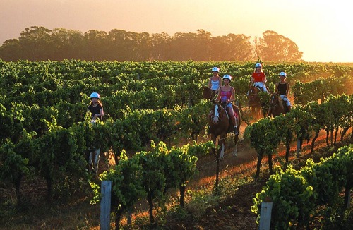 Pokolbin Hotel | Hunter Valley Resort