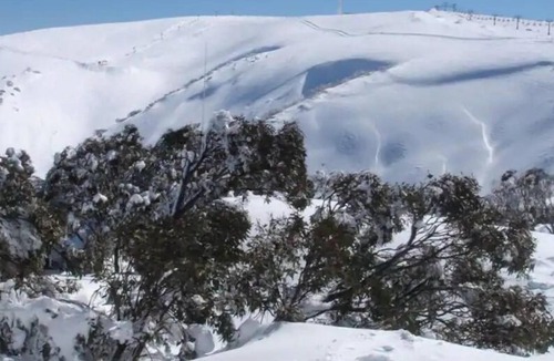 Hotham Heights Ski Chalet | IceBreaker - Hotham Heights