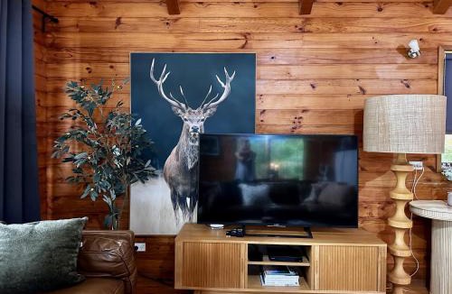 Kangaroo Valley House | Kangaroo Valley Timber Cabin