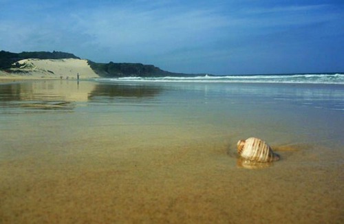 Forster House | KICK BACK BEACH SHACK - BEACH,SURF & OCEAN VIEWS + WALK TO BEACH + PET FRIENDLY!